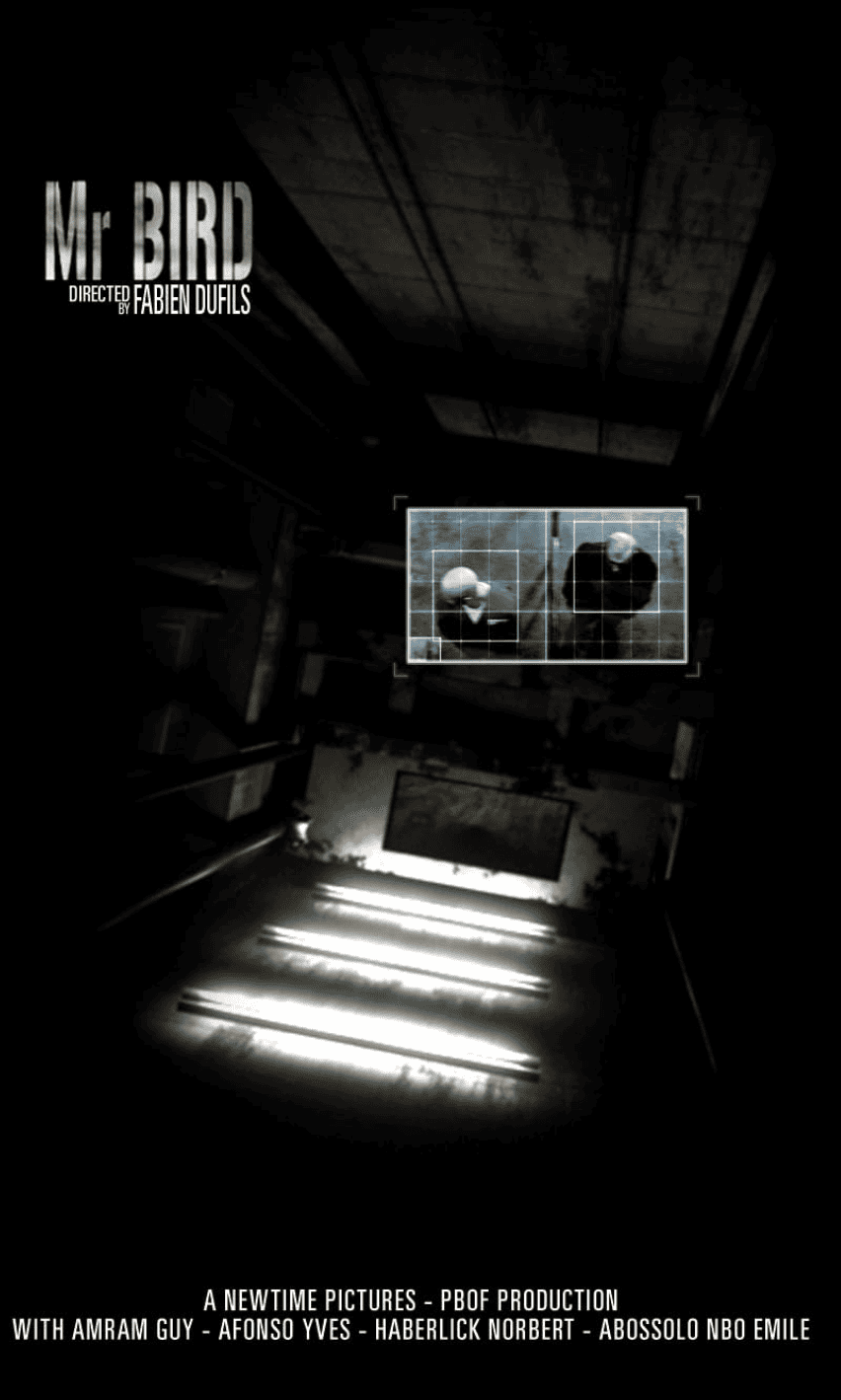 Mr Bird
